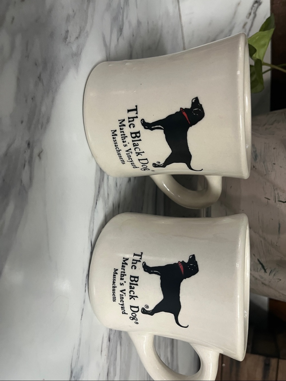 The Black Dog Martha’s Vineyard Mug set of 2